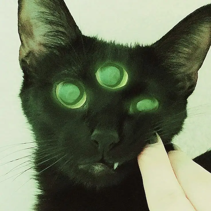 DipSONplotProductions의 MeowDonalds
