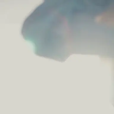 Profile image of 吉田仁人