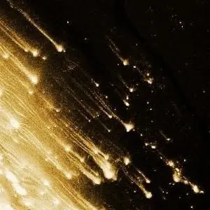 Profile image of 미스틱플라워