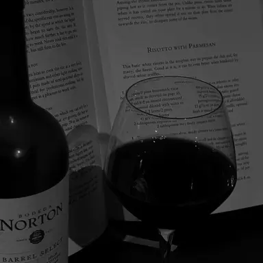 Profile image of 윤세라