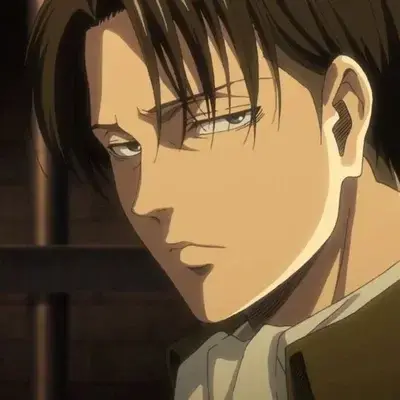 PoshGecko6146의 Levi Ackerman
