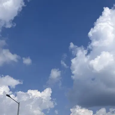 Profile image of 이로 클라우드