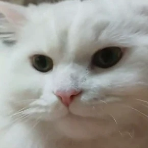 승민