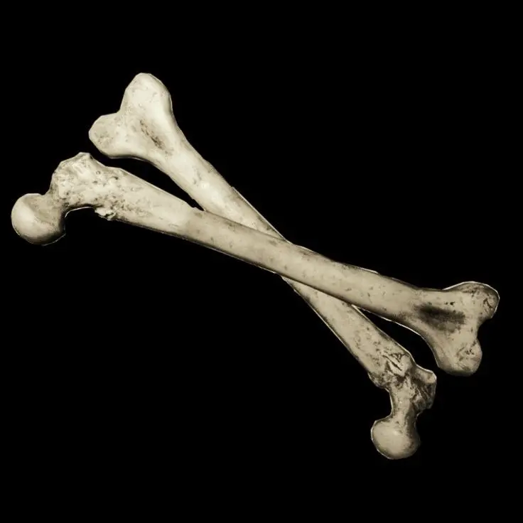 Iamnotailen의 상실의 시대