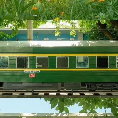 Profile image of 공룡