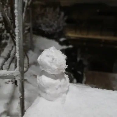 Profile image of ㆍ