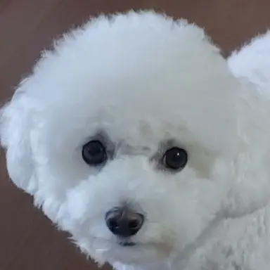 Profile image of 임하린