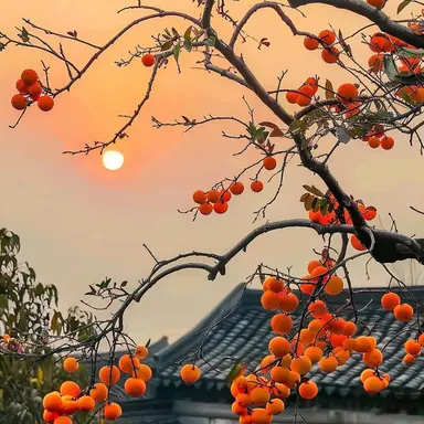 Profile image of 덕개