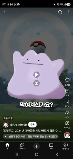 Profile image of 나비