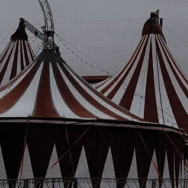 Profile image of 서라더