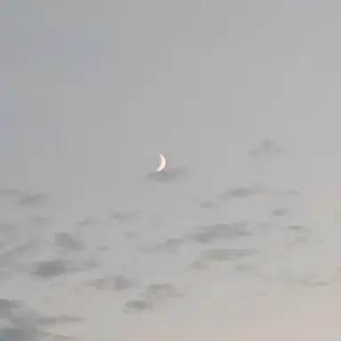 Profile image of 여우