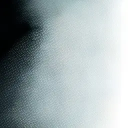 PaddedMucus8500의 ........