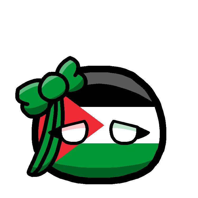 🎀팔레스타인볼🇵🇸 대표 이미지