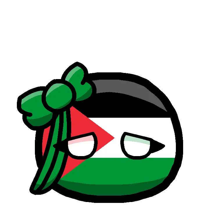 Ch0icub3YT의 🎀팔레스타인볼🇵🇸