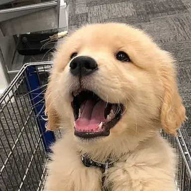 Profile image of 안건호