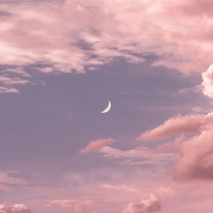 Ocean.ink의 휴재