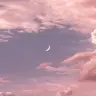Profile image of Ocean