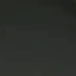 Profile image of 최정요