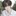 성재이