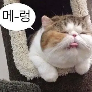Profile image of 여지우
