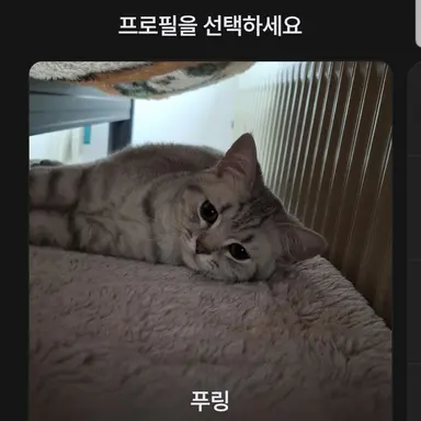 Profile image of 메링