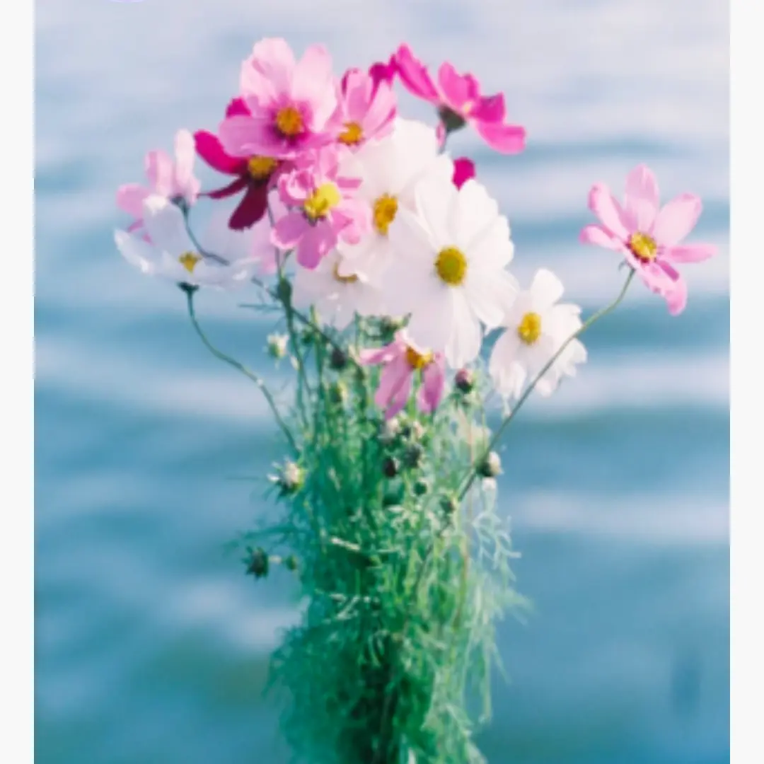 SmoothGlue2191의 또봇