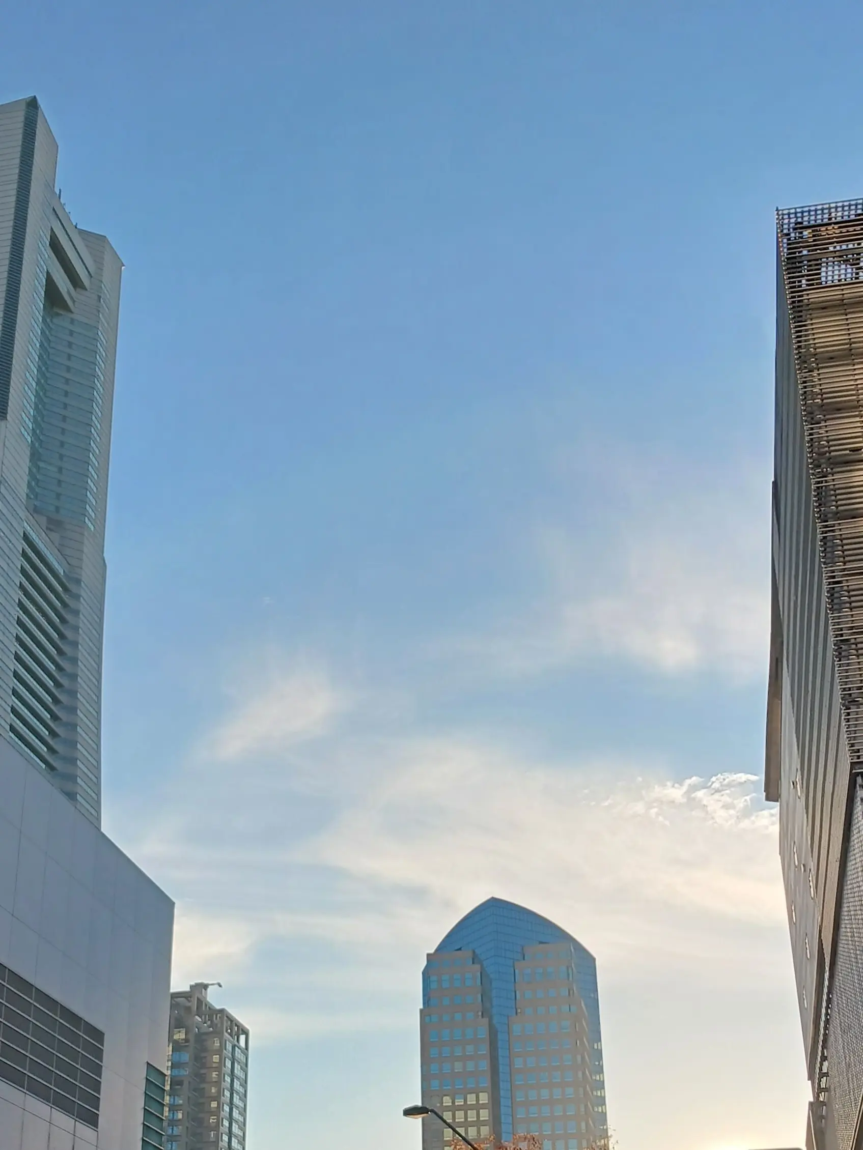 PoorCello9524의 奇病の子供たち