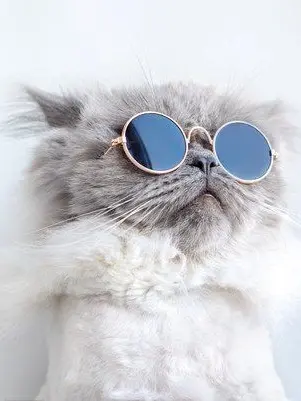 tolom1_xoxo의 ジャージ