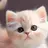 수현