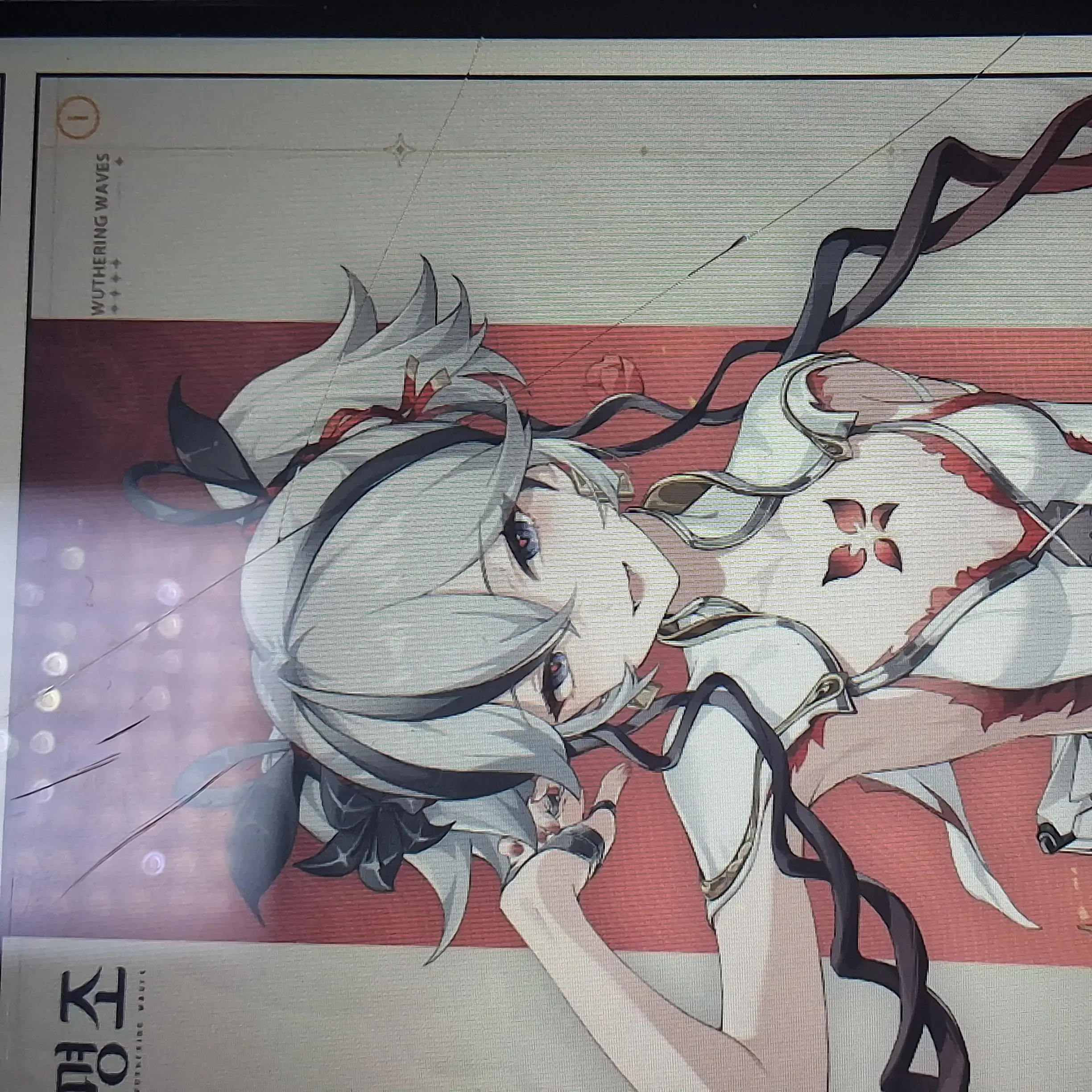 Mrjiidj의 카멜리아