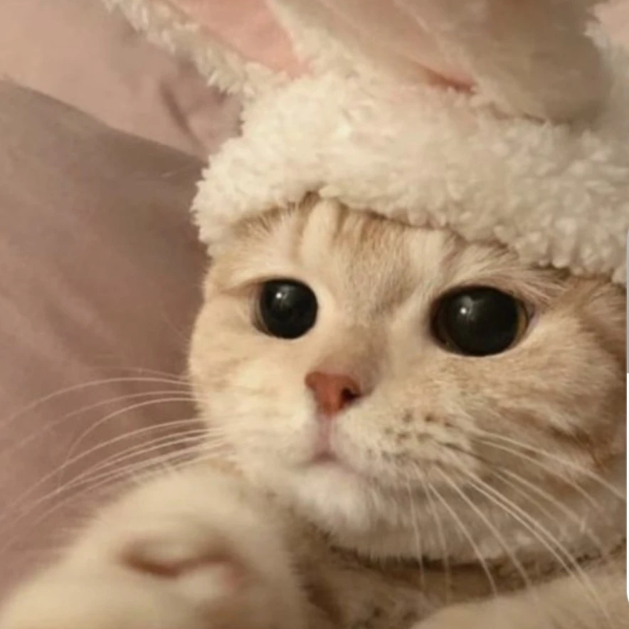 이하윤