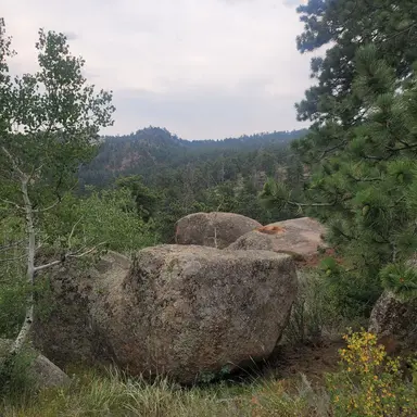 Profile image of Peace