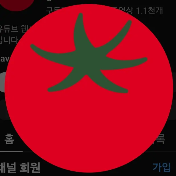 CockyBid0448의 팡팡스토디오