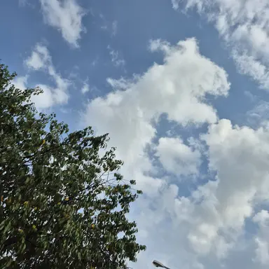 Profile image of 채팅.