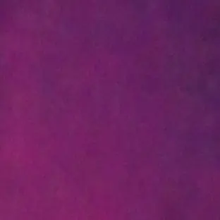 SnappySleep5118의 五年い組