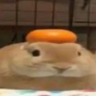 Profile image of Kayla