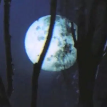 Profile image of 하비에르 뷔시에