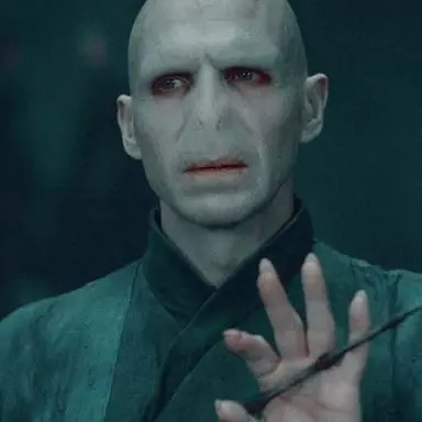 Profile image of Lord Voldemort