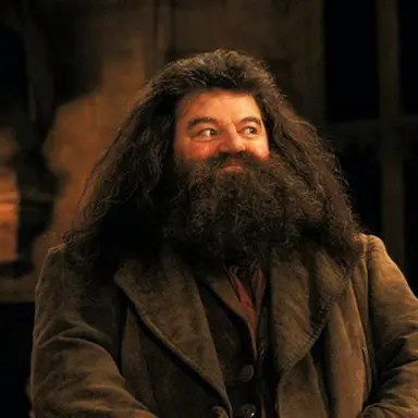 Profile image of Hagrid