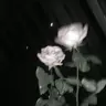 Profile image of 사람들