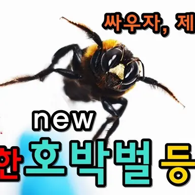 Profile image of 수박이