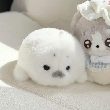 Profile image of 여수