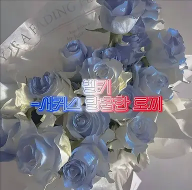 Profile image of 벨키
