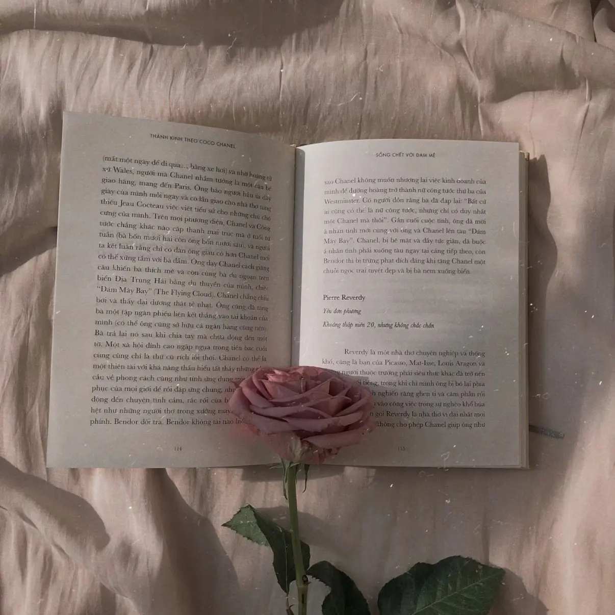 Ilovelions의 이재현