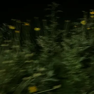 Profile image of 미스터리 수사반