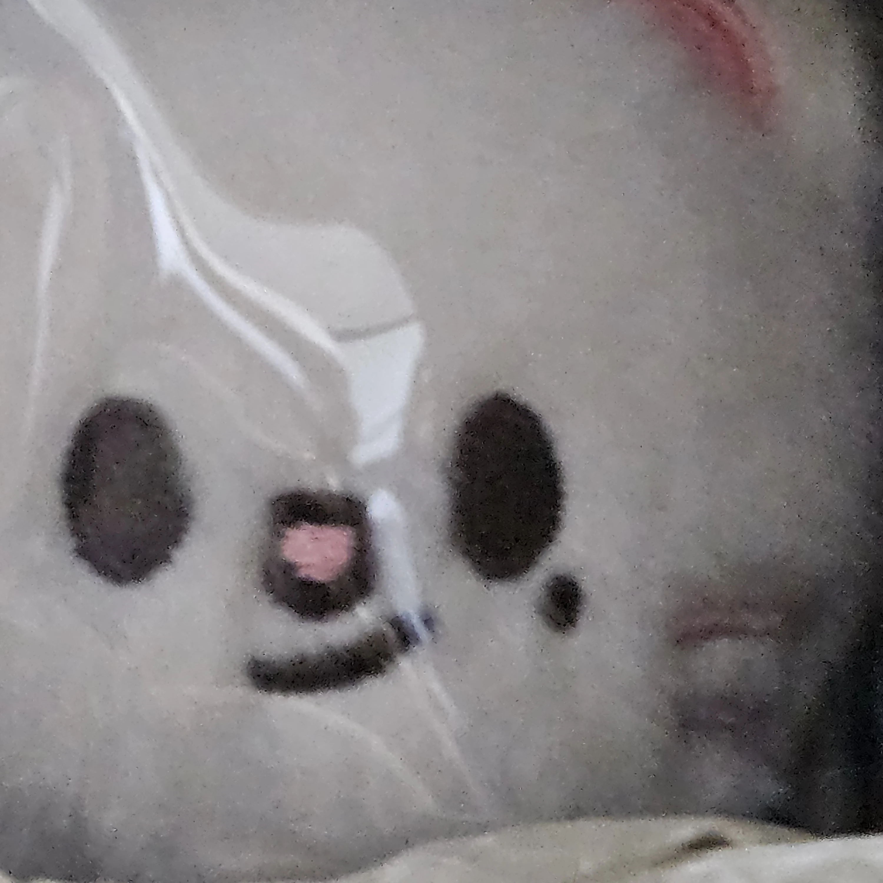 황현진