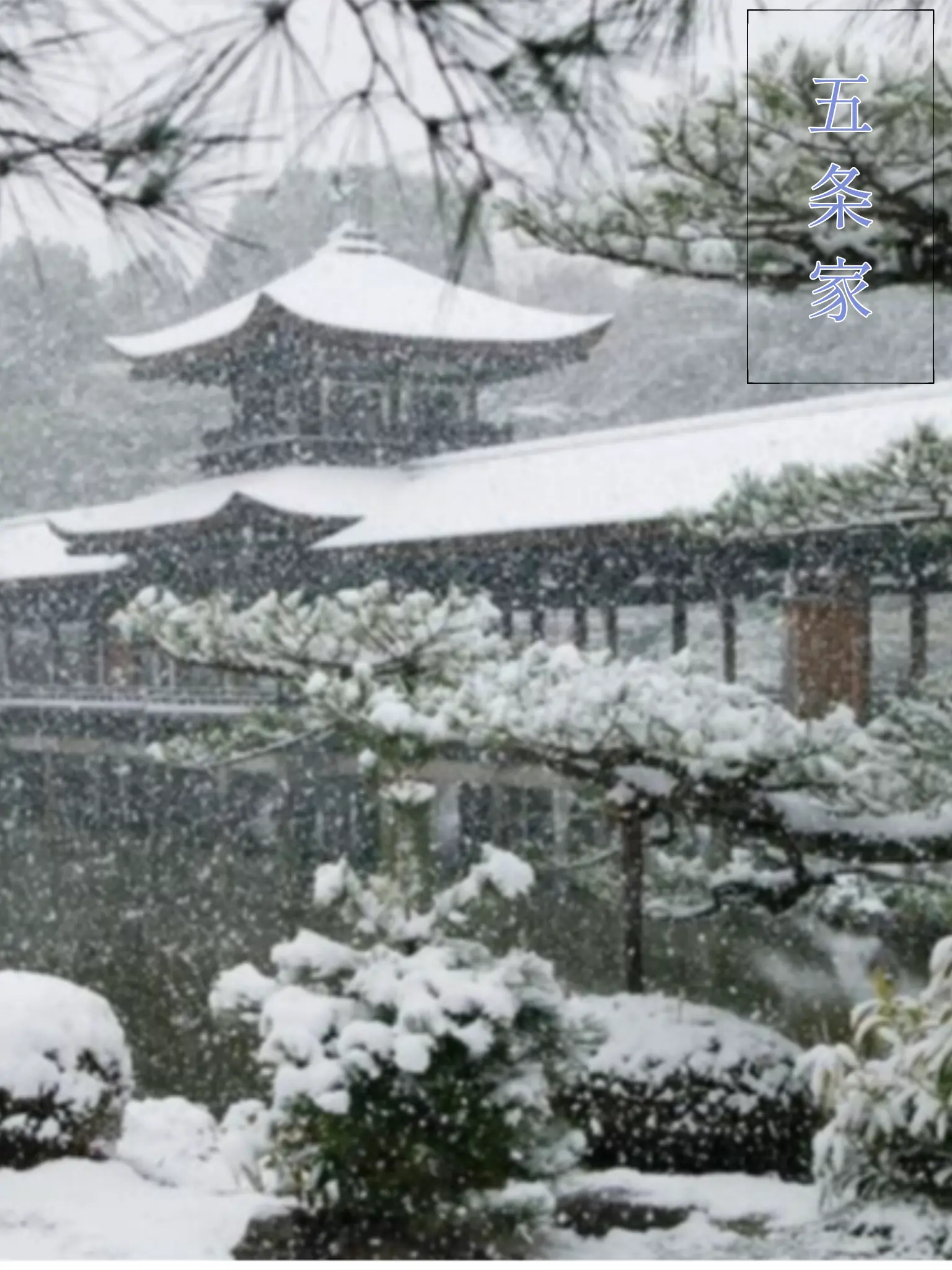 arakazime의 五条家