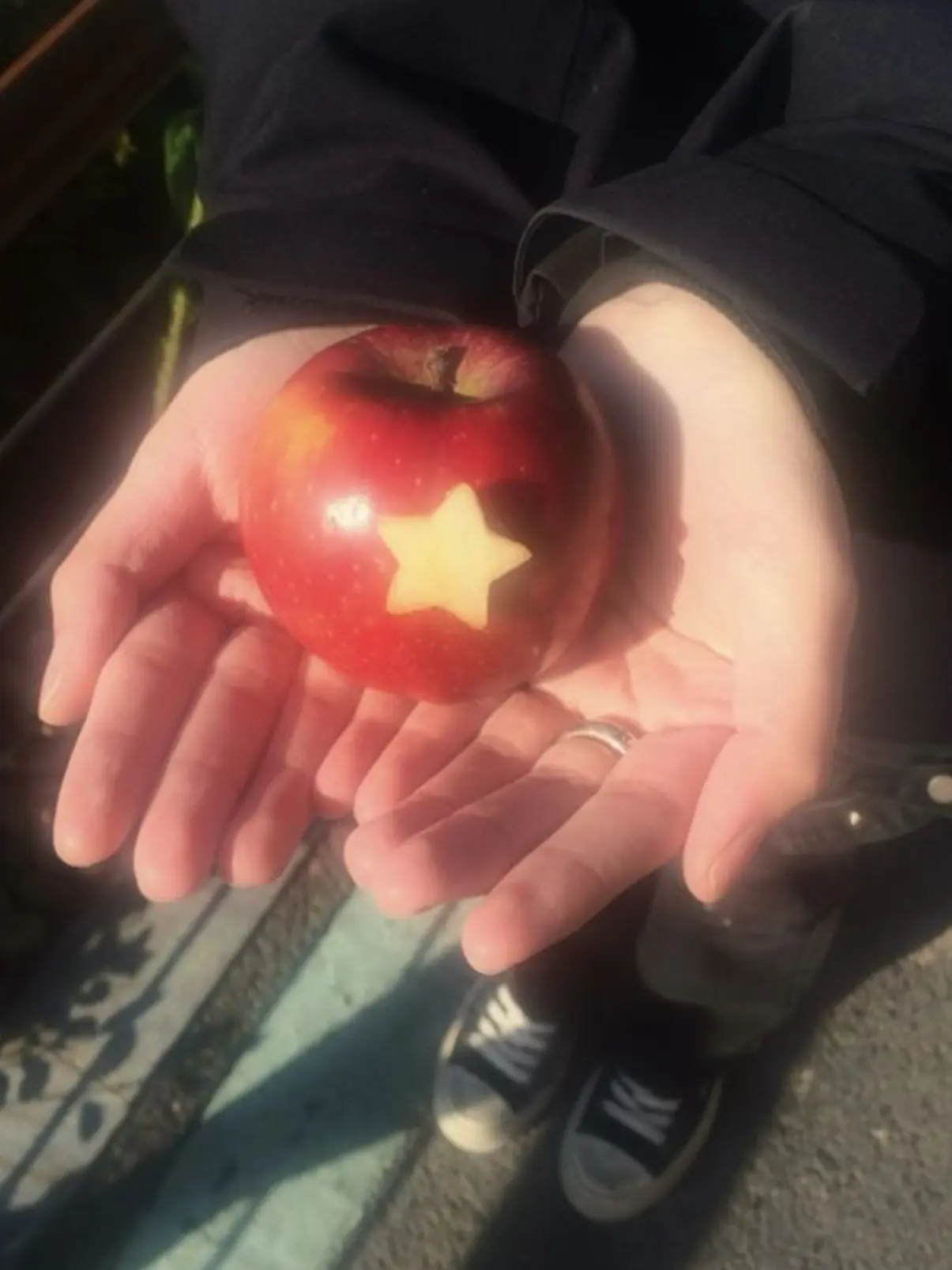 ClumsyHate5250의 姫（男）たちが甘えてきます！！