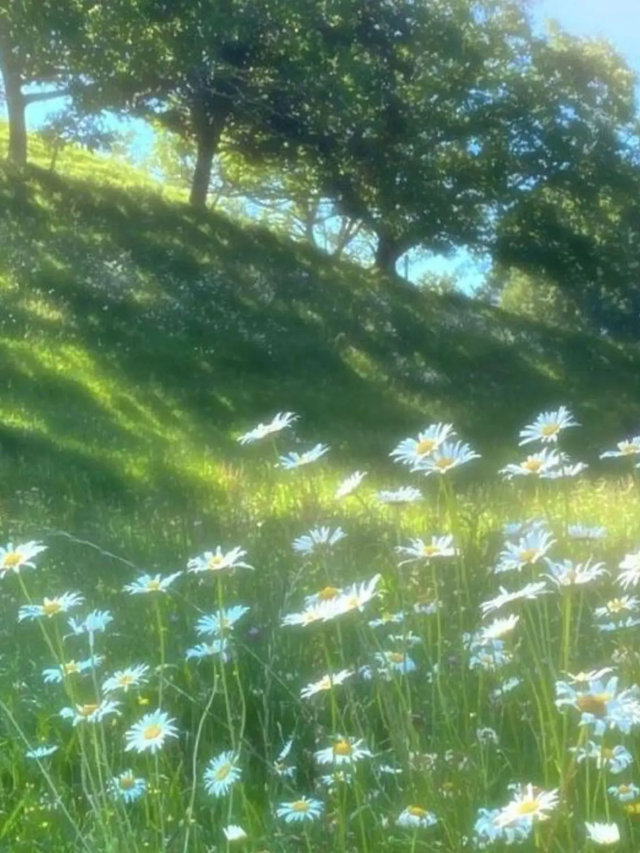 ClumsyHate5250의 姫(男)たちが甘えてきます!!