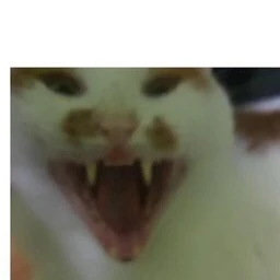 우웩